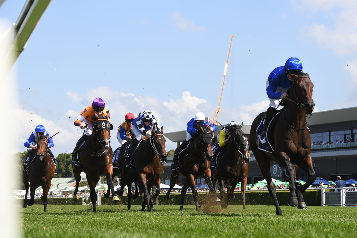 Broadsiding ensures First Season honours for Too Darn Hot