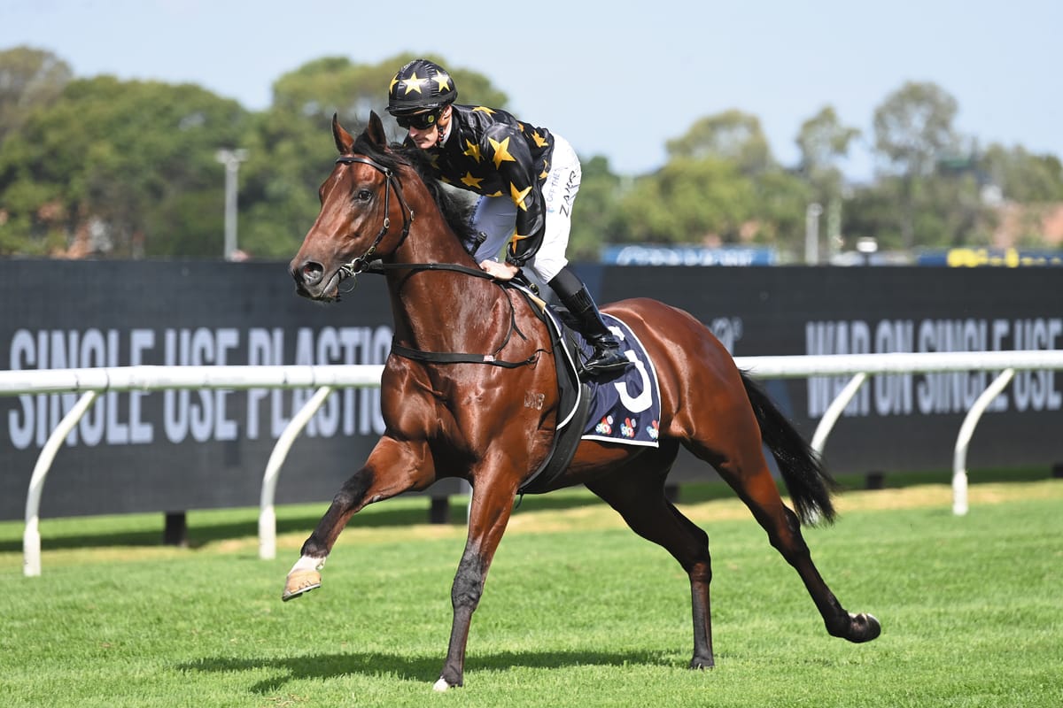 Widden Victoria introduces a king from a royal family